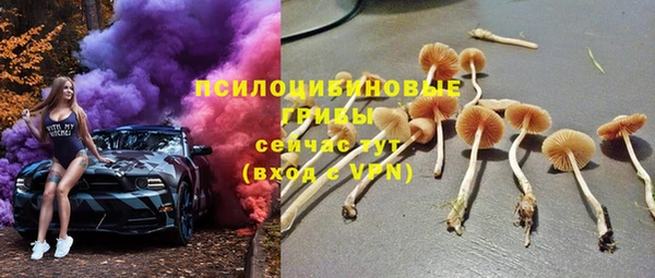 тгк Заволжск